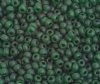 50g  6/0 Transparent Matte Dark Green