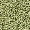 50g 8/0 Opaque Celadon Green Solgel Seed Beads