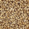 50g 8/0 Opaque White Travertine Seed Beads 
