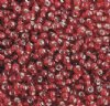 50g 8/0 Silverlined Garnet Seed Beads