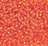 50g 8/0 Silverlined Orange Seed Beads