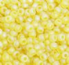 50g 8/0 Transparent Matte Yellow AB Seed Beads