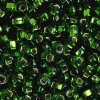 20 Gram Vial of 2/0 Silver Lined Green Seed Beads