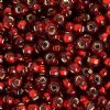 20 Gram Vial of 2/0 Silver Lined Light Red Seed Beads