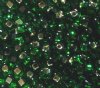 50g 6/0 Kelly Green Silver Lined Seed Beads