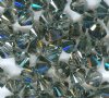 25  5mm Silver Night Crystal Swarovski Bicone Beads