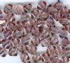 25 6mm Antique Pink Swarovski Bicone Beads
