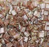 TL4505 5.2 Grams Transparent Light Smoke Topaz Picasso Two Hole Miyuki Tila Beads