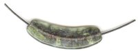 1 48.5mmx13mm Unicorne Banana Leaf Bead - Olive Green (21317)
