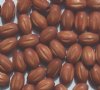50 10.5x7mm Light Brown Ridged Oval Wood Beads 