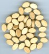 50 12x8mm Flat Oval Natural Wood Beads