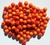 100 6mm Orange Round Wood Beads