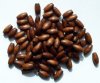 100 8x4mm Dark Brown Oval Wood Beads 