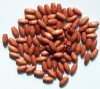 100 8x4mm Light Brown Oval Wood Beads
