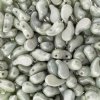 25, 8x5mm Alabaster Green Lustre  LEFT Two Hole Zoliduo Beads