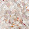 25, 8x5mm Etched Crystal Ab LEFT Two Hole Zoliduo Beads