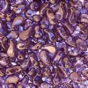 25, 8x5mm Crystal Bronze Lustre LEFT Two Hole Zoliduo Beads