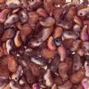 25, 8x5mm Etched Crystal Copper Rainbow LEFT Two Hole Zoliduo Beads