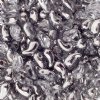 25, 8x5mm Crystal Labrador Half Coat LEFT Two Hole Zoliduo Beads