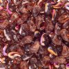 25, 8x5mm Crystal Copper Rainbow LEFT Two Hole Zoliduo Beads