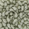 25, 8x5mm Alabaster Green Lustre RIGHT Two Hole Zoliduo Beads