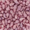 25, 8x5mm Alabaster Lilac Lustre RIGHT Two Hole Zoliduo Beads