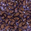 25, 8x5mm Crystal Bronze Lustre RIGHT Two Hole Zoliduo Beads