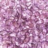 25, 8x5mm Crystal Vega RIGHT Two Hole Zoliduo Beads